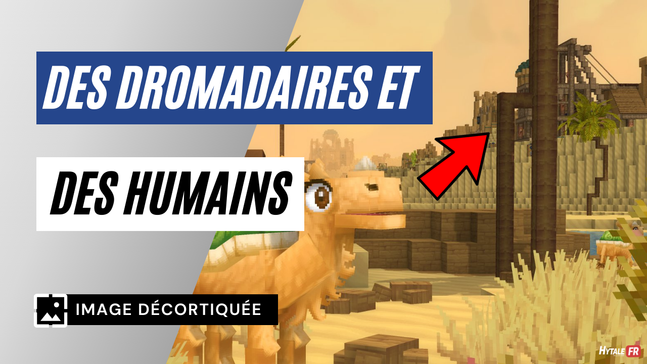 Les dromadaires d'Hytale et l'avant-poste humain
