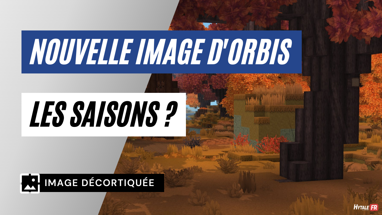 Hytale : les saisons prouvées par cette image ?