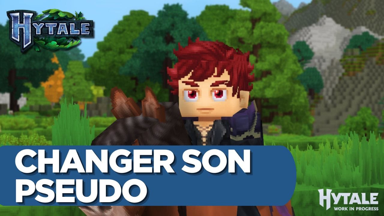 Pseudo Hytale : Comment changer le nom de son avatar ?