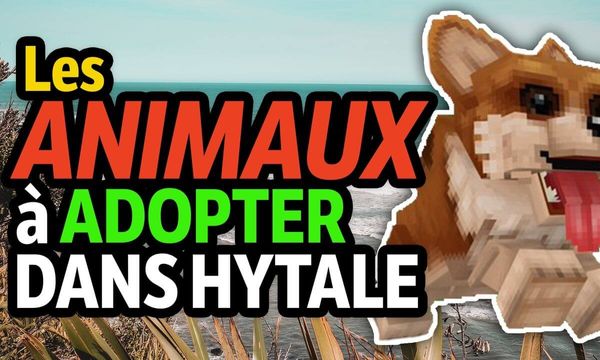 Les animaux à adopter dans Hytale